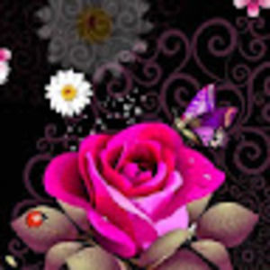 Meet your Posher, Jeannie